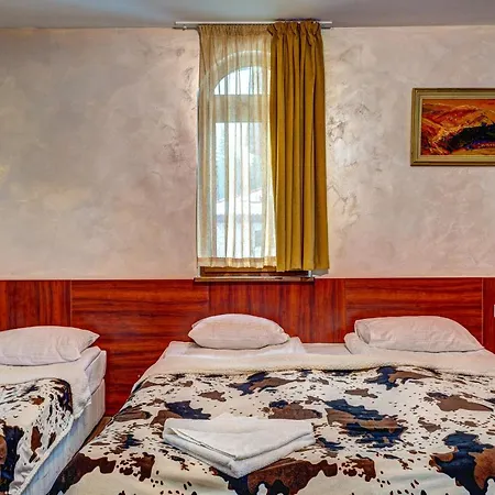 Pensiune Forest Nook 4*
